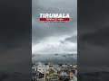Foggy Mornings (Tirumala Hills) #tirupati #tirumala #todotirupati