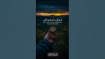 تلاوة طيبة برواية ورش عن نافع