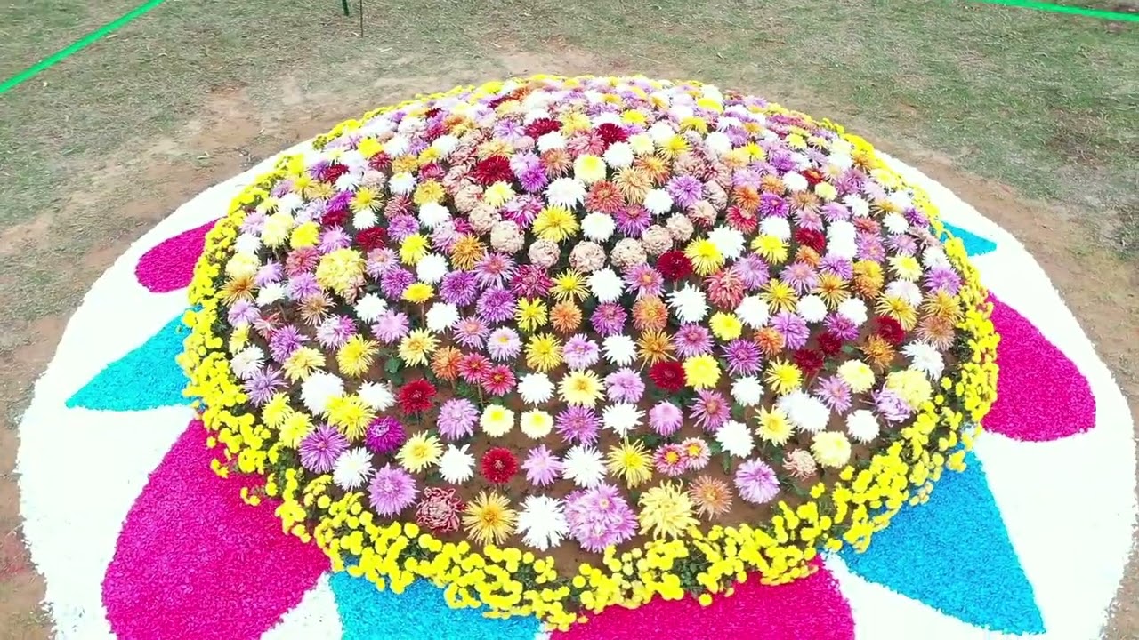 Flower Show at Markaz e khail o Saqafat Block 10 Federal B Area 