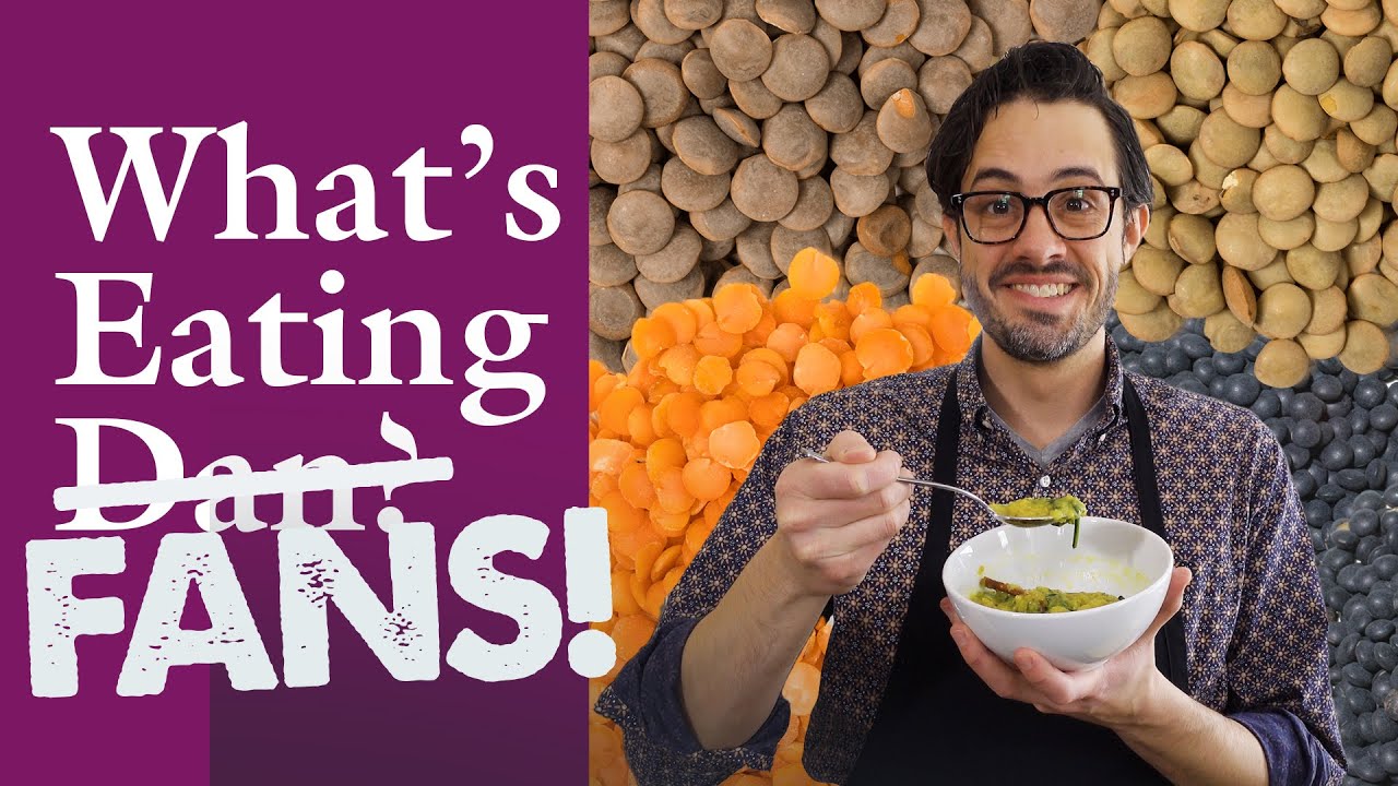 How Do You Check Lentils for Stones? and More Questions | What’s Eating Dan | America