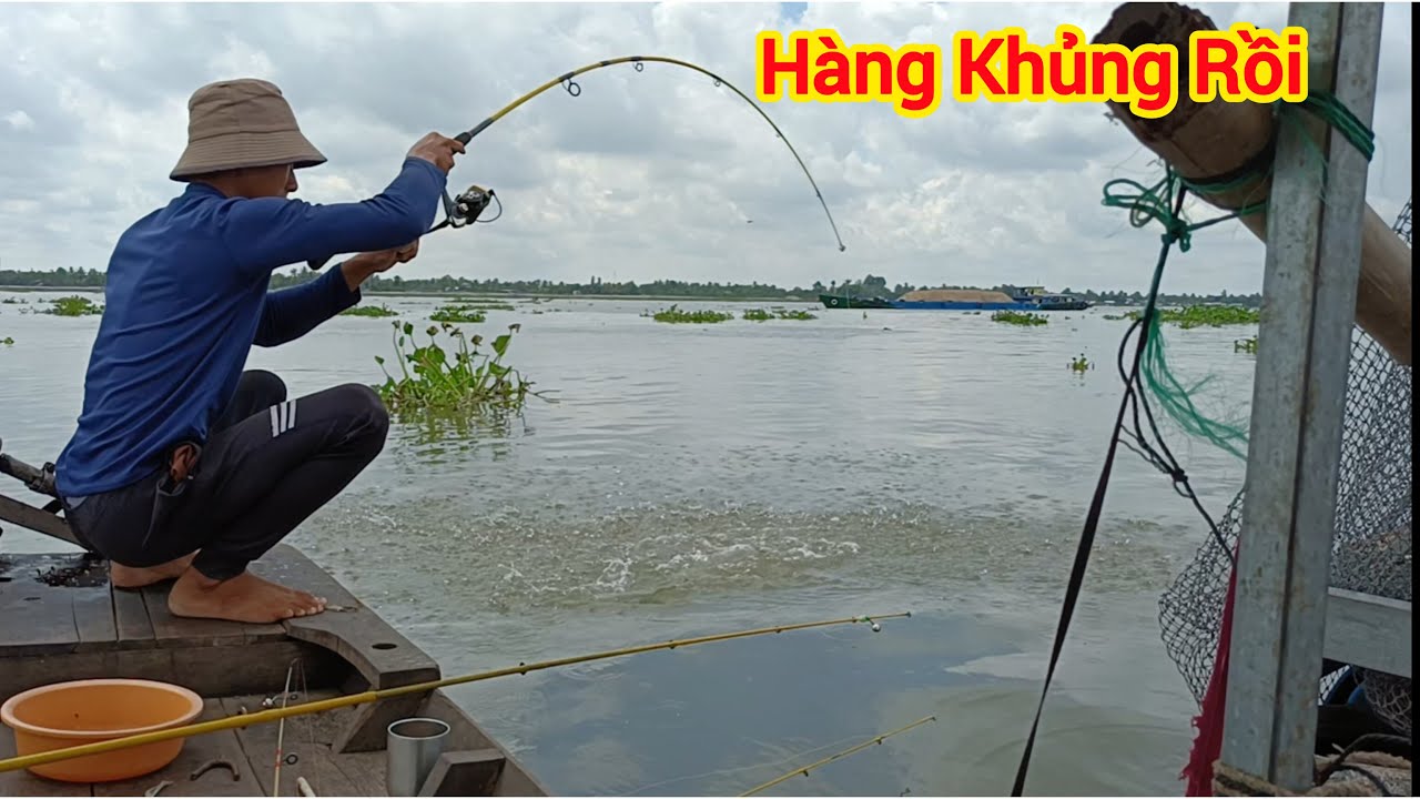 Câu Cá Trên Bè, Không Ngờ Điểm Câu Lại Nhiều Cá Cóc Khủng Kéo Sướng Tay | Trần Đại Fishing