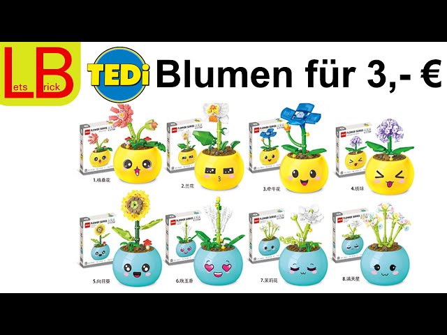 $3 Tedi Flower Pot Review