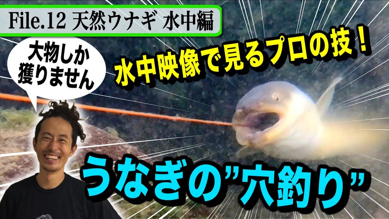 プロによる天然ウナギの 穴釣り を水中映像で 天然食材ハンター谷田圭太の野人塾 File12 天然ウナギ水中 編 Youtube