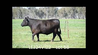 Lot 58   LEJ24V122