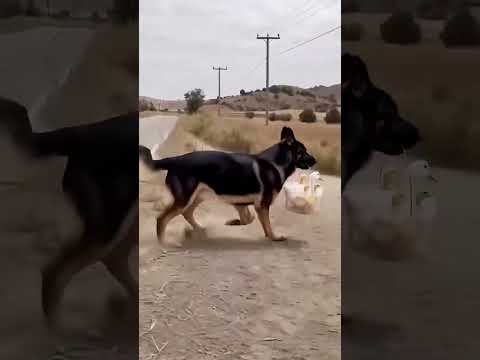 que reflexão nos traz essa cena
