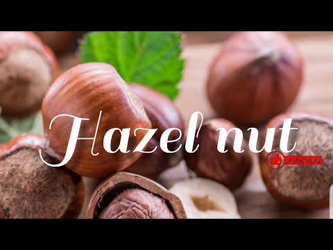 Hazel Nut Fruit!!!