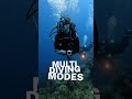 Diving in St. Lucia with the Shearwater Peregrine Dive Computer