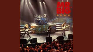 Greentinted Sixties Mind  At Warfield Theatre San Francisco Ca March 28 1992