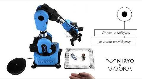 Controlling Ned with your voice