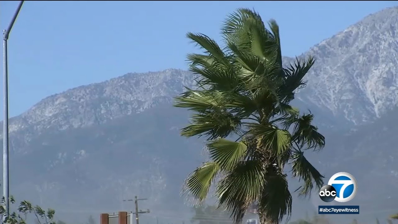 Santa Ana winds raise the possibility of power shutoffs in SoCal - YouTube