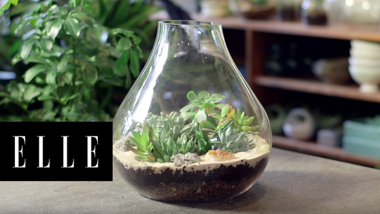 How to Build a Terrarium ELLE YouTube