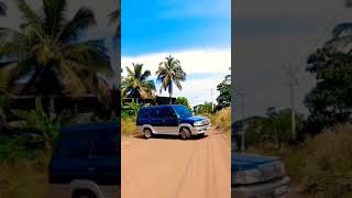 Toyota Qualis Modified Ever Green Vehicle