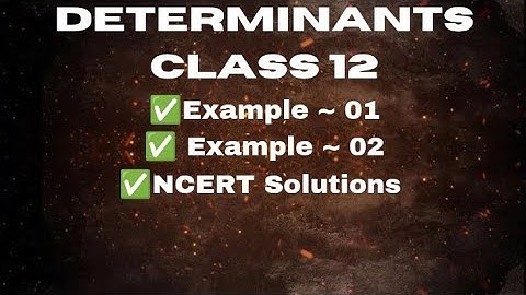 Determinants| Class 12| ncert solutions| Lecture 04