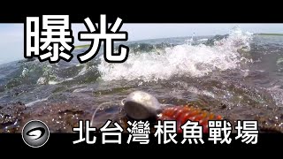 【根魚爆釣!】北海岸根魚釣點攻略！ | Jignesis Taiwan