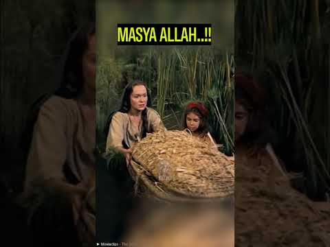 Video: Mengapa jochebed meletakkan moses di sungai nil?