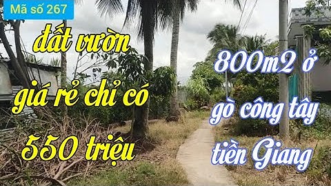 Bán đất vườn giá rẻ chỉ 570 triệu ở gò công tây tiền Giang @ms267