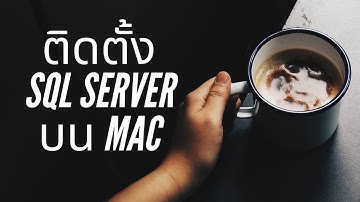 ติดตั้งและ Run Microsoft SQL Server บนเครื่อง Mac โดยใช้  MSSQL Docker Image  ฉบับปี 2022