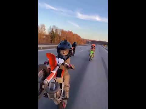 cat cooking wheelies fre✌️😭