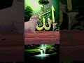 Ya rabbe mustfa tu mujhe Hajj per Bula #shortvideo##naat#allah #short#story#beautiful#tiktok