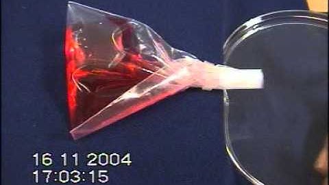 Shape recovery in PU SMP 004