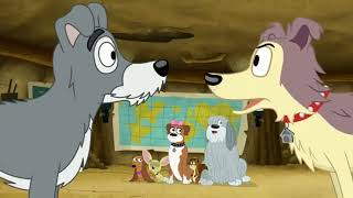 Lucky Meets Slick Aka His Father Pound Puppies