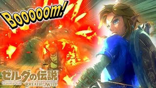 『ゼルダの伝説BotW』で遊ぶだけの動画。【ネタバレ注意】