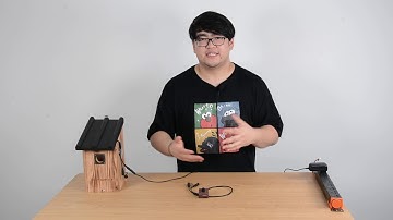 Watch WiFi Bird Box Camera without Internet Access