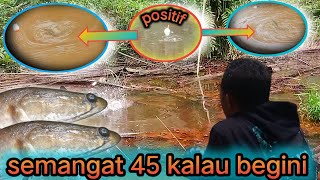 Ngantuk pun jadi Hilang kalau mancing di spot begini, Pelampung nya tidak penah diam screenshot 4