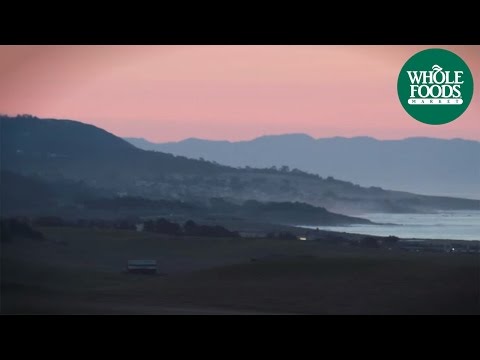 Hearst Ranch Beef Trailer | Meet the Ranchers | Whole Foods Market