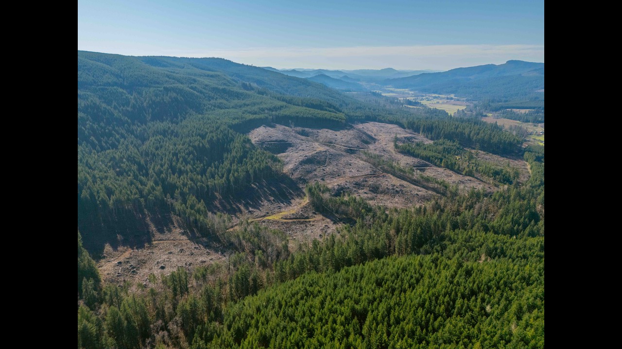 FOR SALE: Camp Creek Forest - 194 Acres - Springfield Oregon