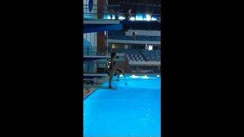 DuDive - Forward One and a Half Tucked, Two Bounce, 1m