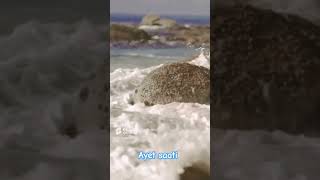 Abdulbasit Abdulsamet Mülk Ayeti Kerimesi Kur-An -I Azimu Şan