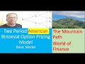 Two-Period Binomial American Option Pricing Model (FD 02)