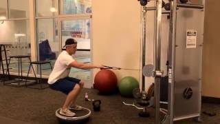 Bosu Squat and Single Arm Row