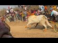 ओवले बिनजोड मैदानात विन झाली 🐂🔥 | मथुर एलियन 👽 | | आजची मोठी बैलगाडा शर्यत 🚩🏆