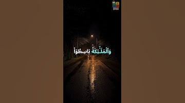 ياسر الدوسري #سورة_الأنعام #تلاوة_خاشعة #تلاوة_مؤثرة #القرآن_الكريم #تلاوة_هادئة #تلاوة_مميزة #حالات