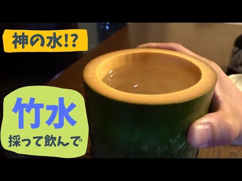 【竹水】竹から湧き出る水を採取して飲んでみました - YouTube