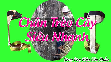 Chân Trèo Cây Hái Lan, Hái Dừa, Cưa Cây, Bắt Ong,...Dụng Cụ Trèo Cây Siêu Nhanh