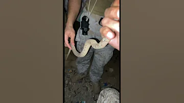الصاعقه الجيش السعودي اسود الثعبان يقول انا وش جابني عندهم 