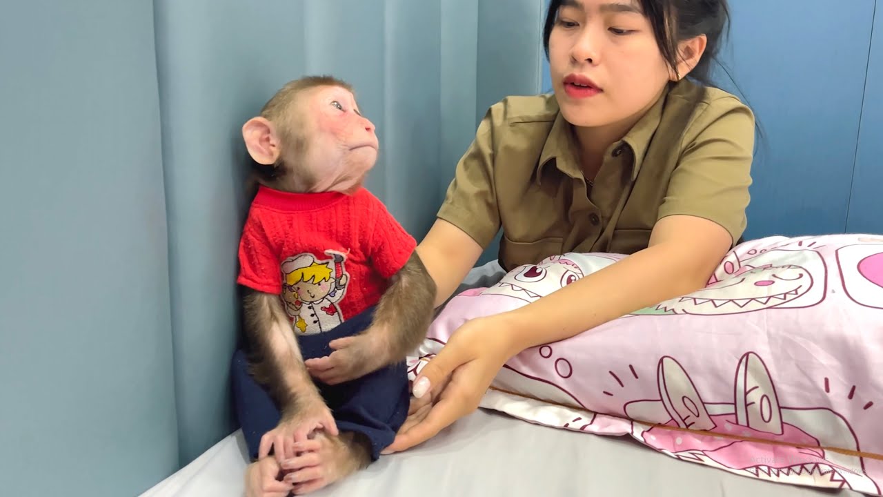 So Comforting !Auntie Gently Comforts CUBIS When He Misses Dad