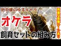 【懐かしの昆虫】５分で分かるオケラの飼育セット＆給餌方法　昆虫ハウス１０１号室