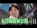 【チェーンソー!?】木曽駒森林公園の1日は超アクティブ?【井口智明】