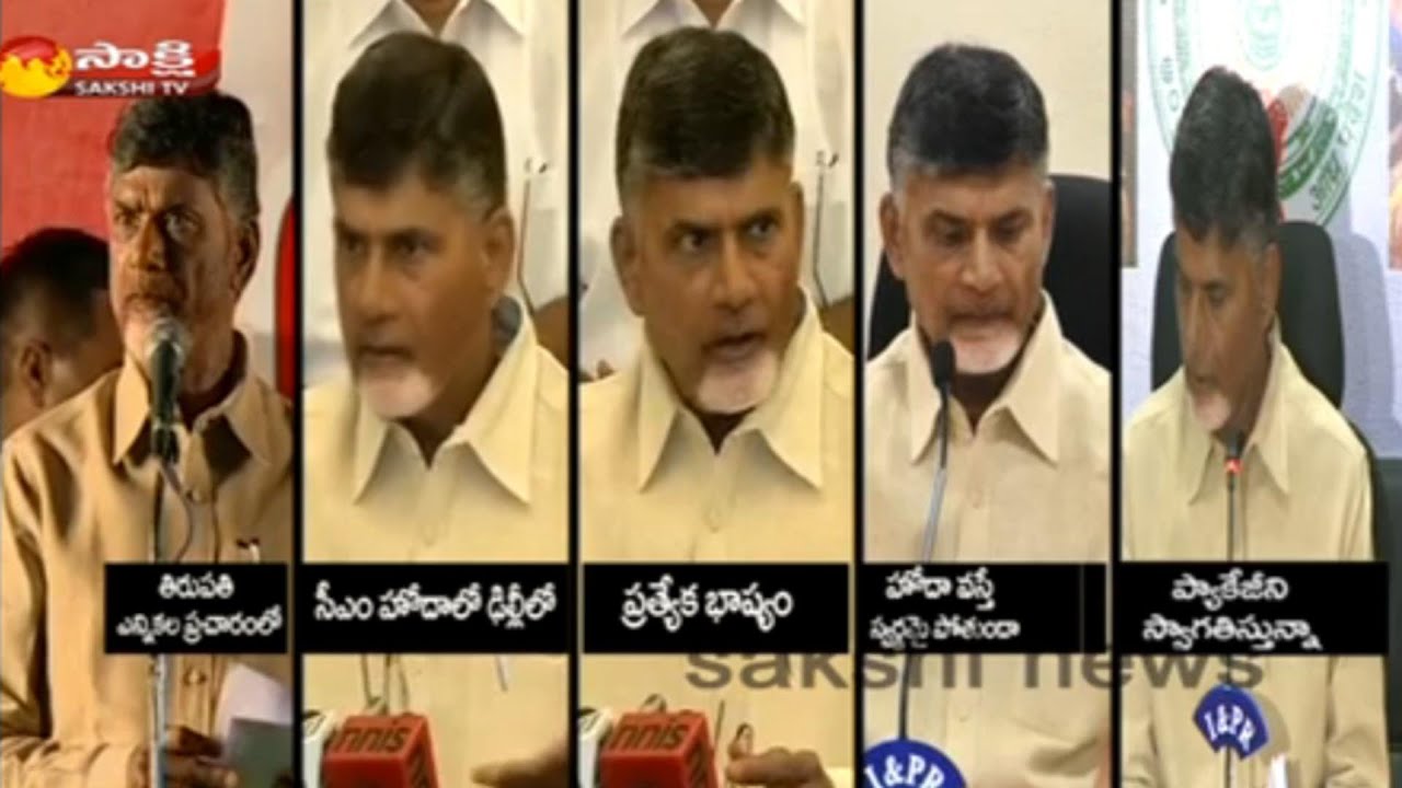 Image result for chandrababu on special status