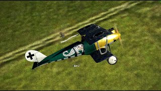 Il2 Flying Circus Pfalz D.iii Vs 4 Camels