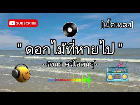 ดอกไม้ที่หายไป - รัชนก ศรีโลพันธุ์ [เนื้อเพลง]