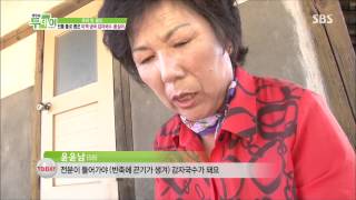 생방송 투데이 130827 다시보기 #1(8)
