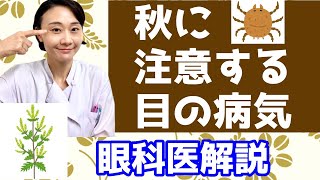 秋に注意する目の病気！ブタクサ？ダニ？眼科医が解説します。