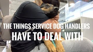 What Life with A Service Dog is ACTUALLY like.. Vlog W.9