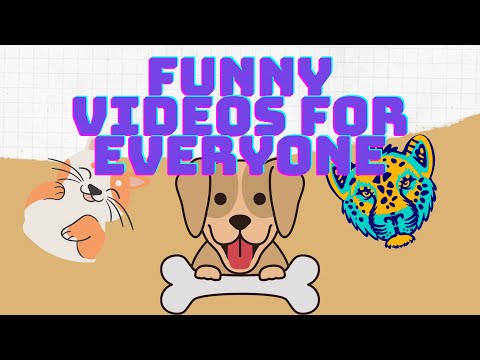 Funny Cat Videos 2021 #2 #FunnyVideos2021 #FunnyVideo