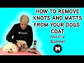 How to remove knots and matts from your dogs coat